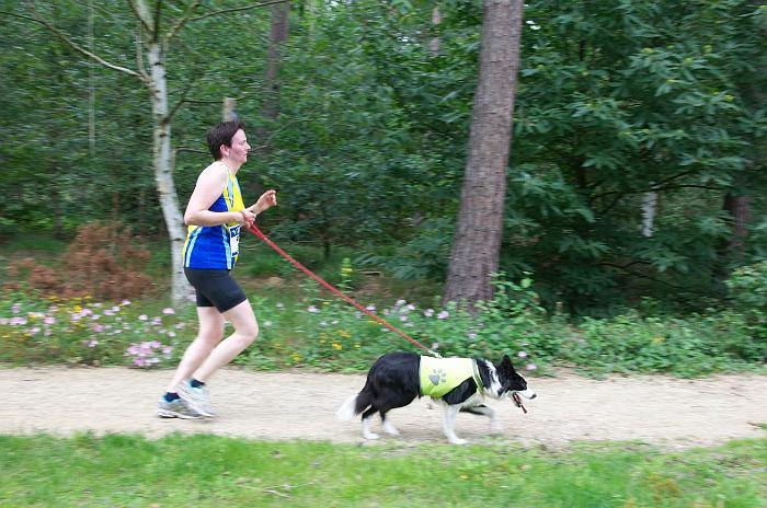 7 km - 2 113
